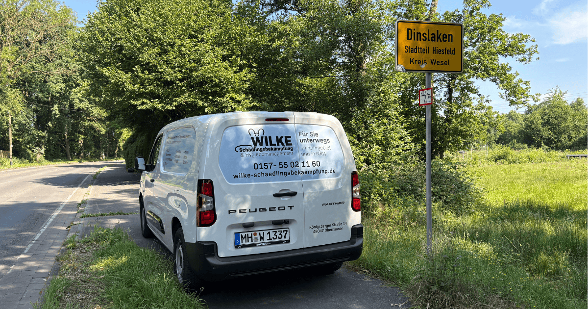 Wilke Schädlingsbekämpfung, Ihr lokaler Kammerjäger für Dinslaken, im Einsatz direkt am Ortsschild in Dinslaken-Hiesfeld.
