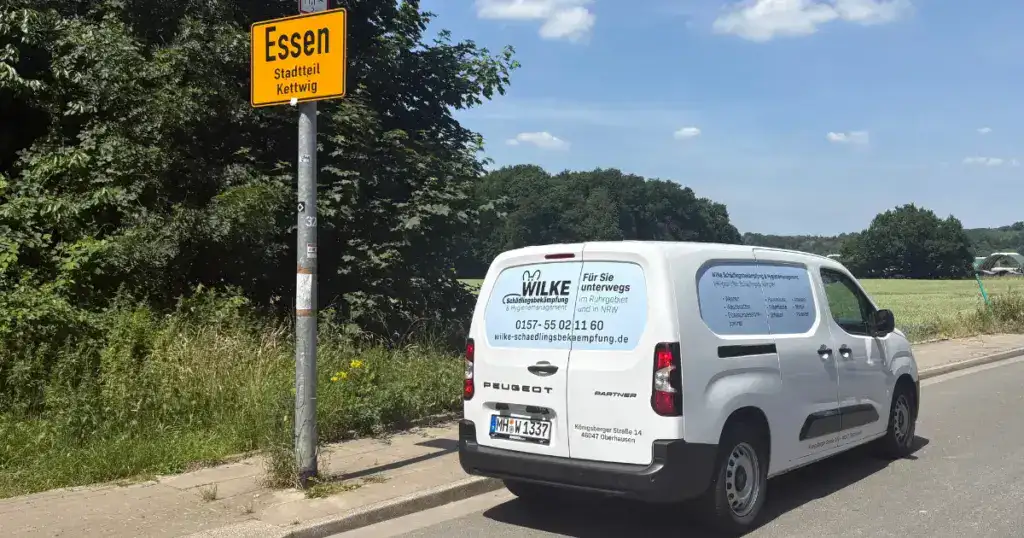 Wilke Schädlingsbekämpfung, Ihr persönlicher Kammerjäger, im Einsatz direkt in Essen