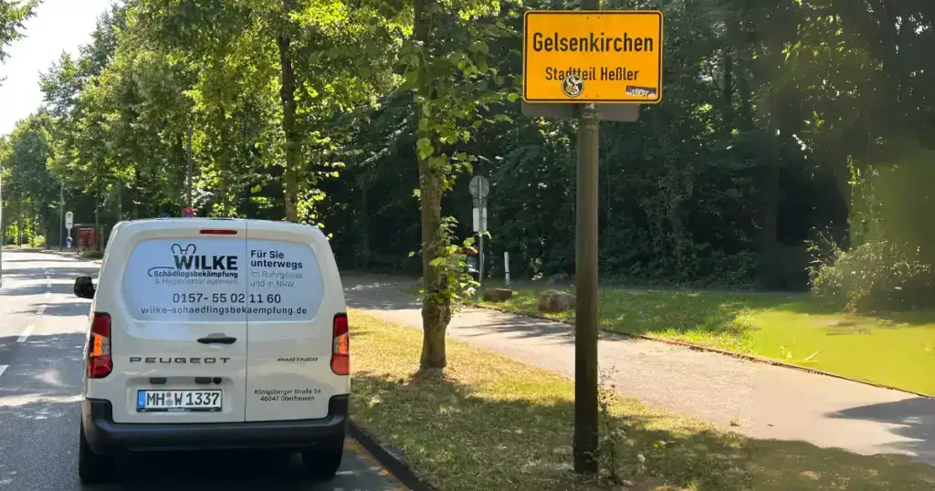 Wilke Schädlingsbekämpfung, Ihr lokaler Kammerjäger für Gelsenkirchen.