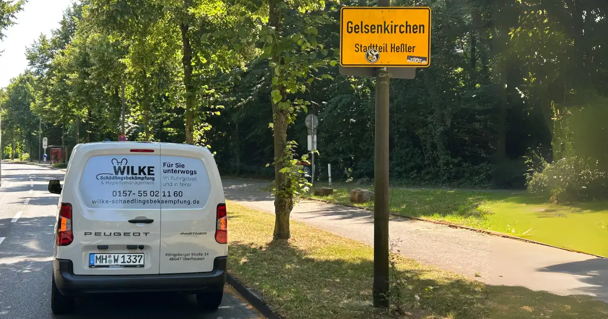 Wilke Schädlingsbekämpfung, Ihr lokaler Kammerjäger für Gelsenkirchen, im Einsatz direkt am Ortsschild in Gelsenkirchen-Heßler.